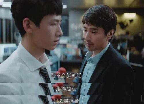 平凡的荣耀在线观看,职场奋斗与成长之路  第2张