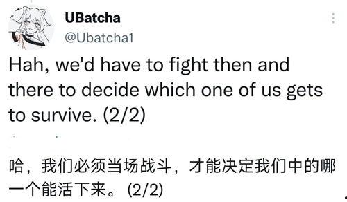 原神执行官爆料国外视频,国外视频背后的精彩故事