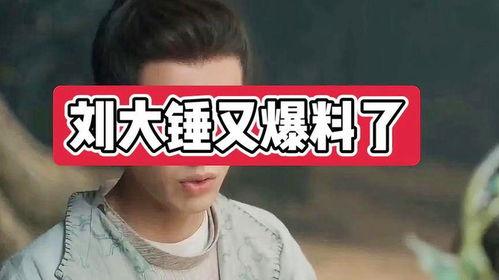 刘大锤爆料啥事件了啊视频,揭秘某重大事件内幕 第1张 刘大锤爆料啥事件了啊视频,揭秘某重大事件内幕 第1张